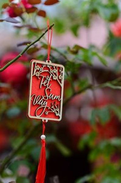 phỏm May88